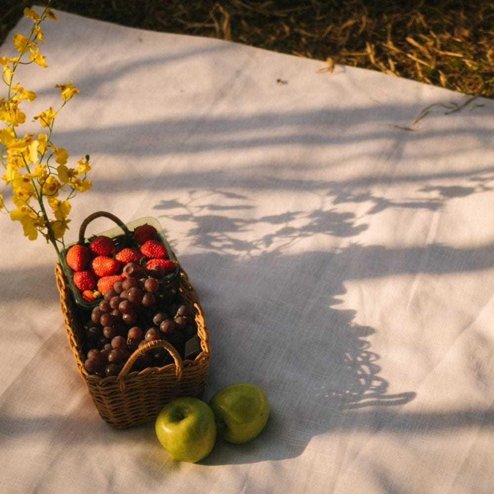 10 Tips for Hosting a Perfect Picnic