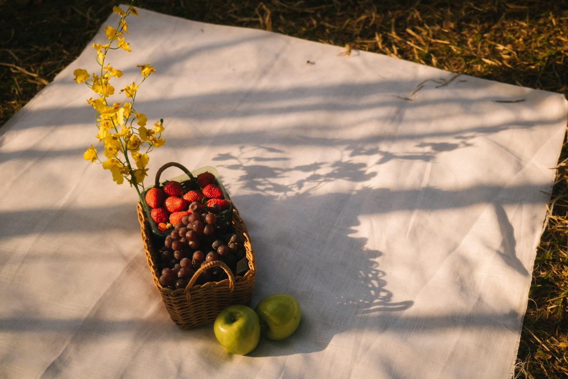 10 Tips for Hosting a Perfect Picnic