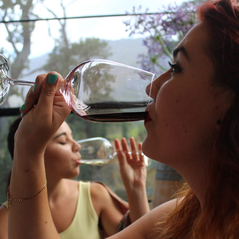 21 gifts for friends who love wine