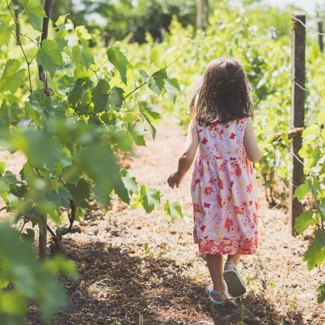 jordan rowland BwvhSlyUBBc unsplash e1690488389594 5 Exciting Kid Friendly Wineries To Visit In The US