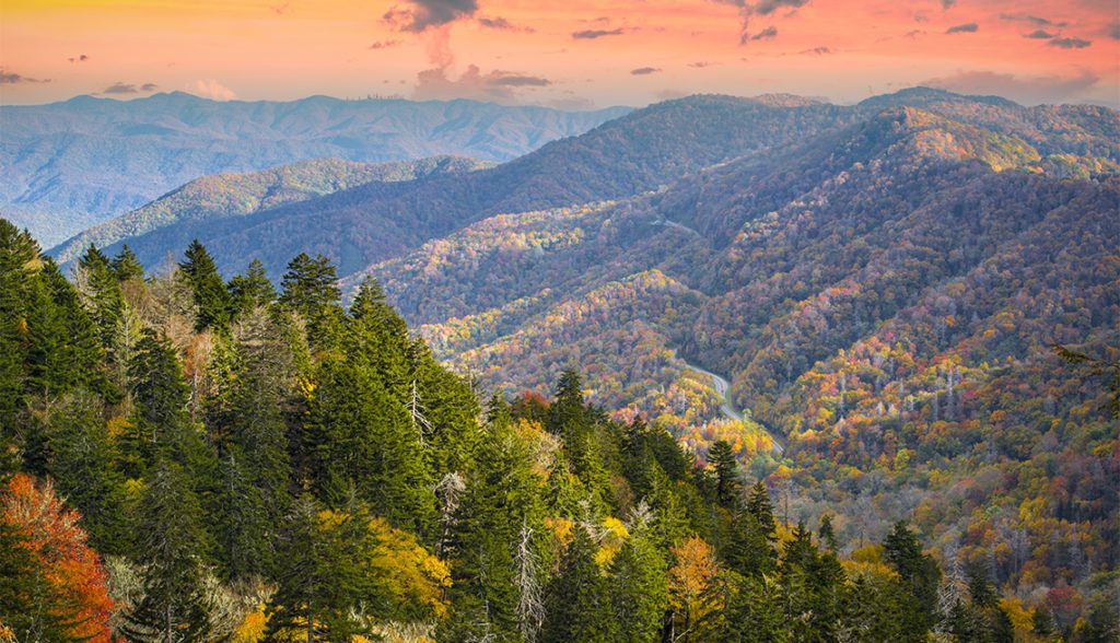 great smoky mountains national park 10 Fall Camping Destinations For The Family